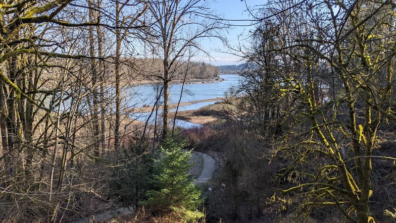 Willamette River Views Without A Hard Climb