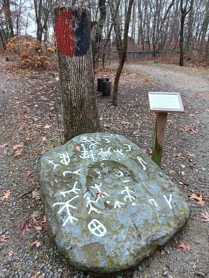 Winakung, A Native Lenape Woodland Forest