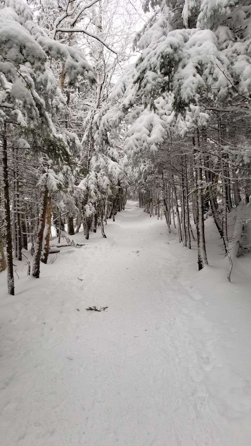 Winter Hiking With Serious Crunch Winter Hiking With Serious Crunch
