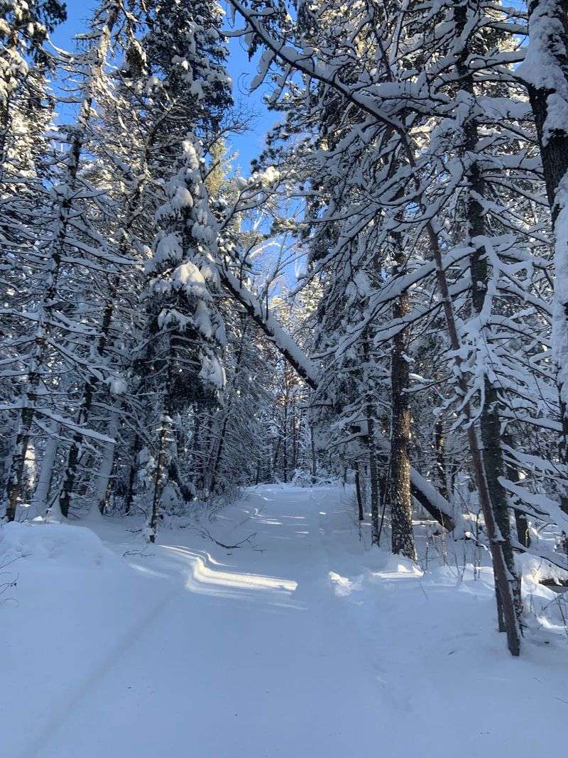 Winter Turns the Place Into a Cross Country Skiing Playground