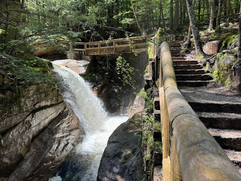 Wooden Stairs Put You Right Above the Action Wooden Stairs Put You Right Above the Action