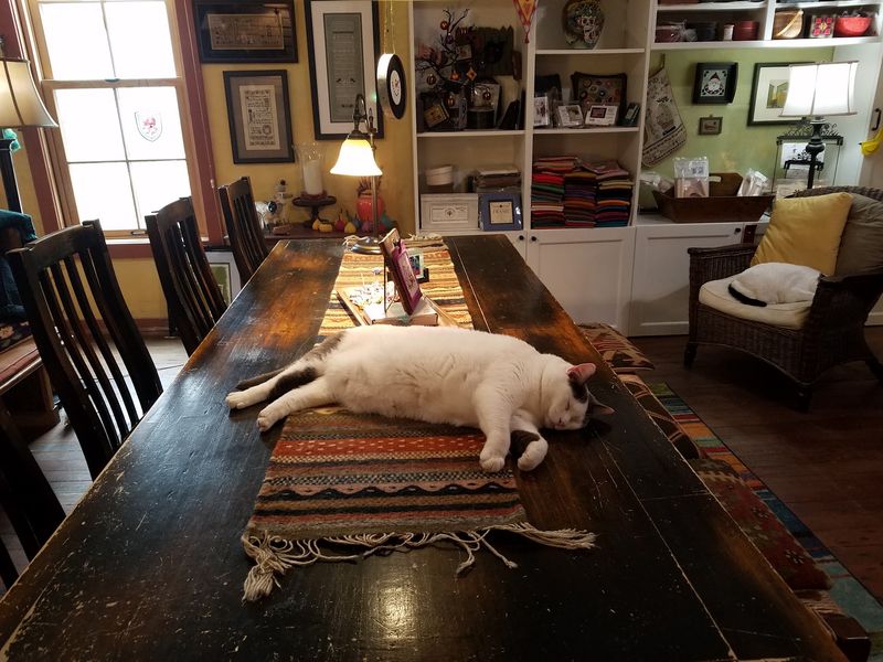 Workshops, Crawls, and Little Stitchers