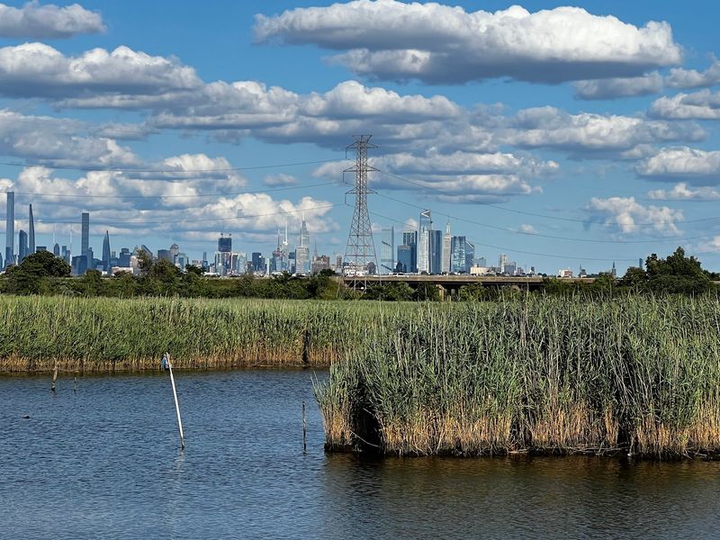 World Trade Center Memorial Grove
