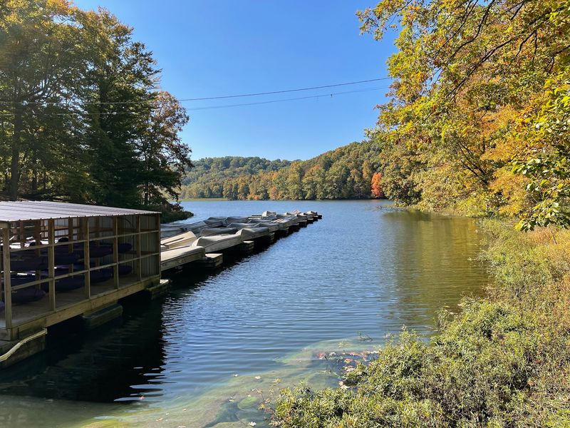 Yellowwood State Forest, Nashville