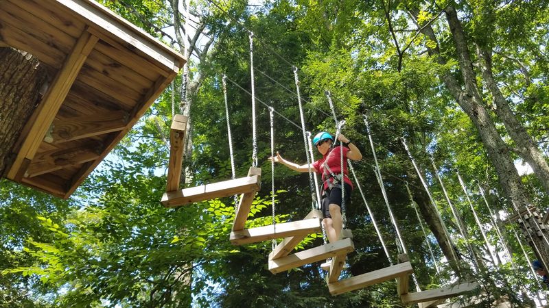 Zip Lines, Sky Bridges and Treetop Thrills Zip Lines, Sky Bridges and Treetop Thrills