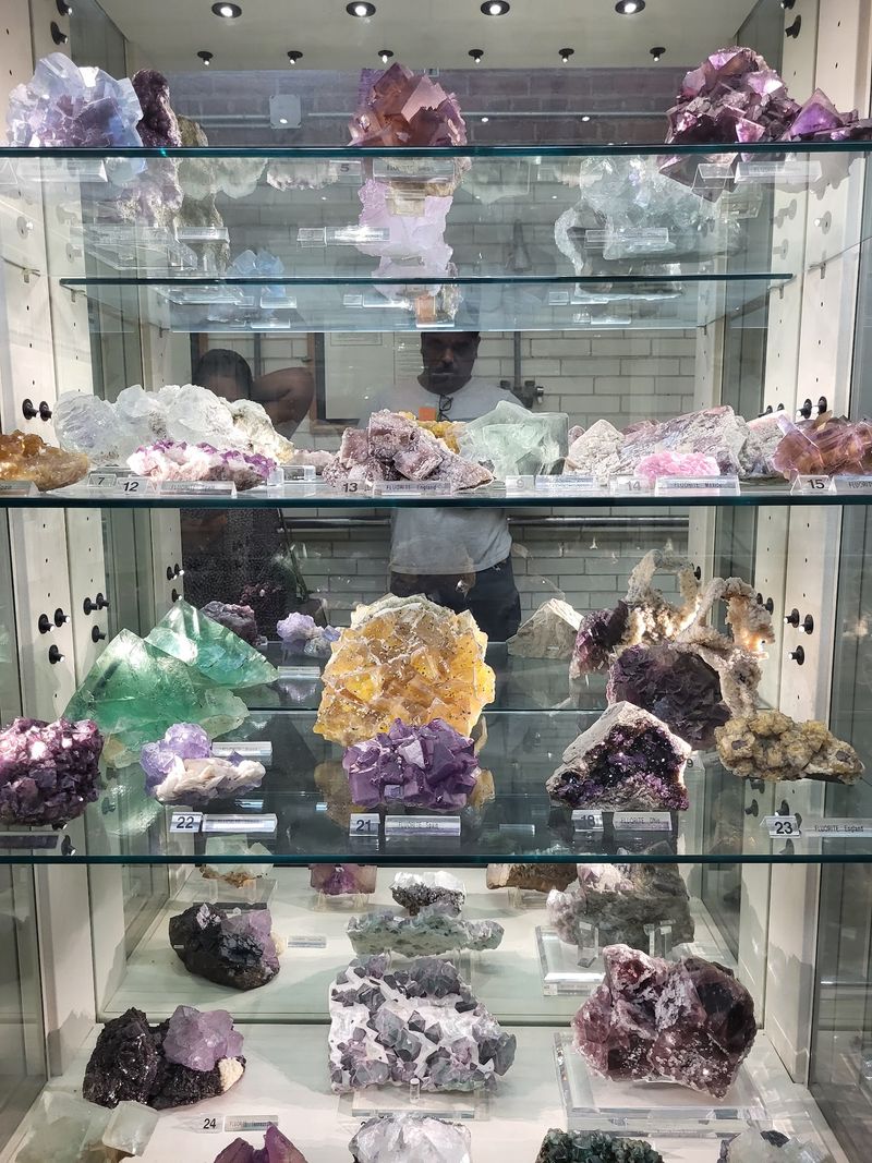 Zobel Exhibit Hall And Its Twelve Thousand Treasures Zobel Exhibit Hall And Its Twelve Thousand Treasures
