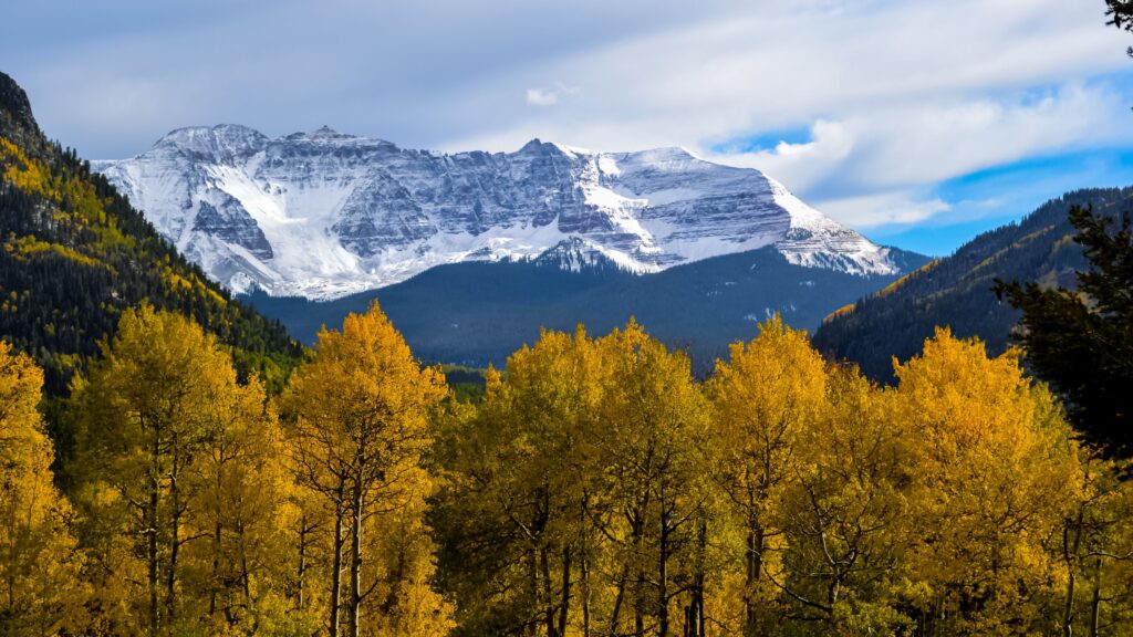 Golden Aspen trees illuminate the view of snow-capped mountains in Colorado. Photo c. Terry Agar for pexels Golden Aspen trees illuminate the view of snow-capped mountains in Colorado. Photo c. Terry Agar for pexels