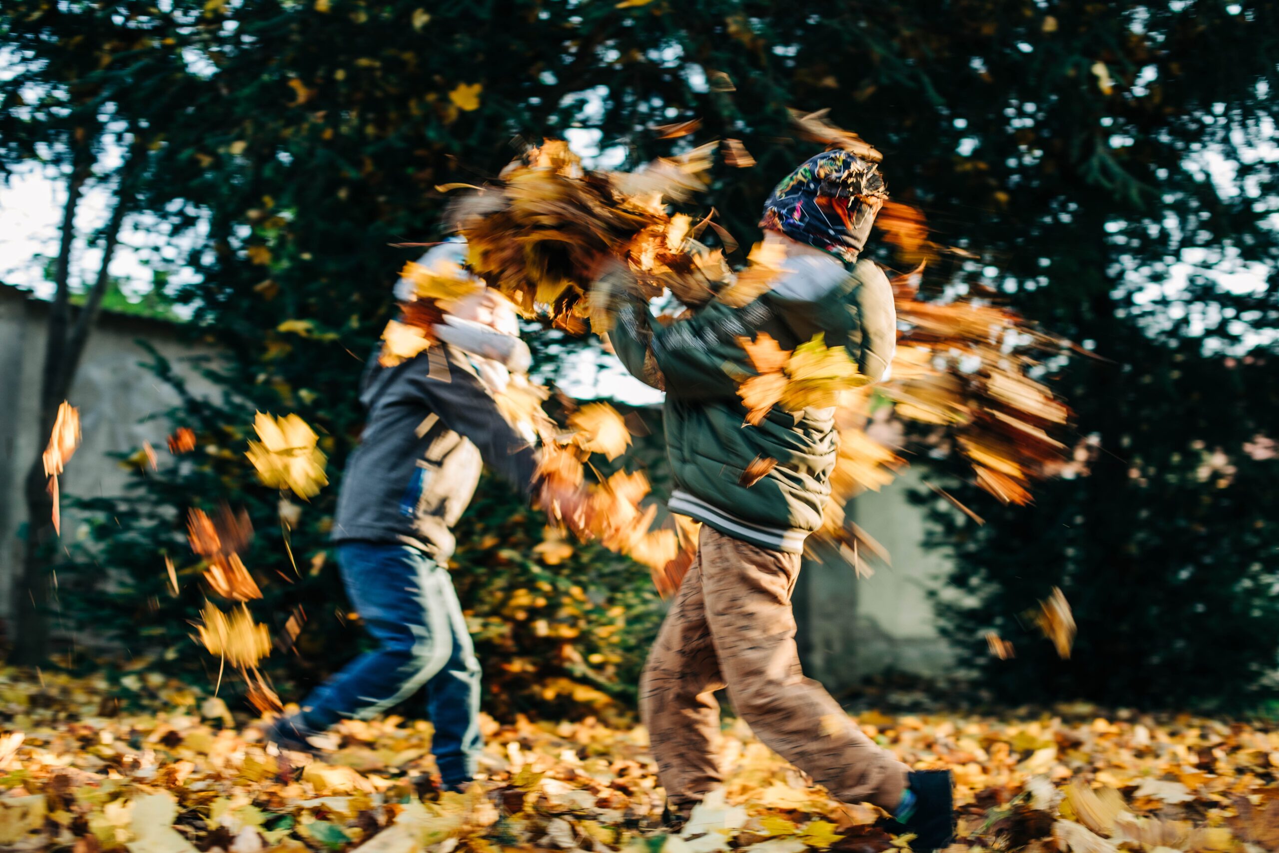 Fallling leaves are so much fun! photo c. Helen1 for pexels