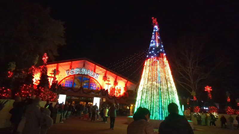 A 50-Foot Tree Puts On A Show Of Its Own