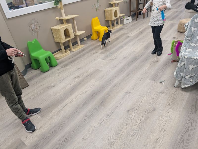 A Birthday Outing That Kids Actually Remember