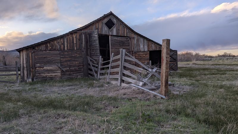 A Cattle Empire Built From Nothing