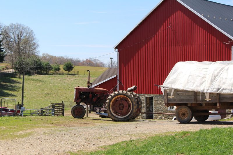 A Century Old Farm That Still Feels Like Home