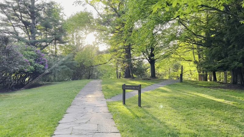A Coal Company Tract That Became A Park Families Grew Up With