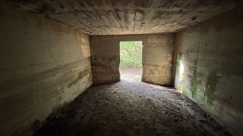 A Concrete Box Turned Into a Home