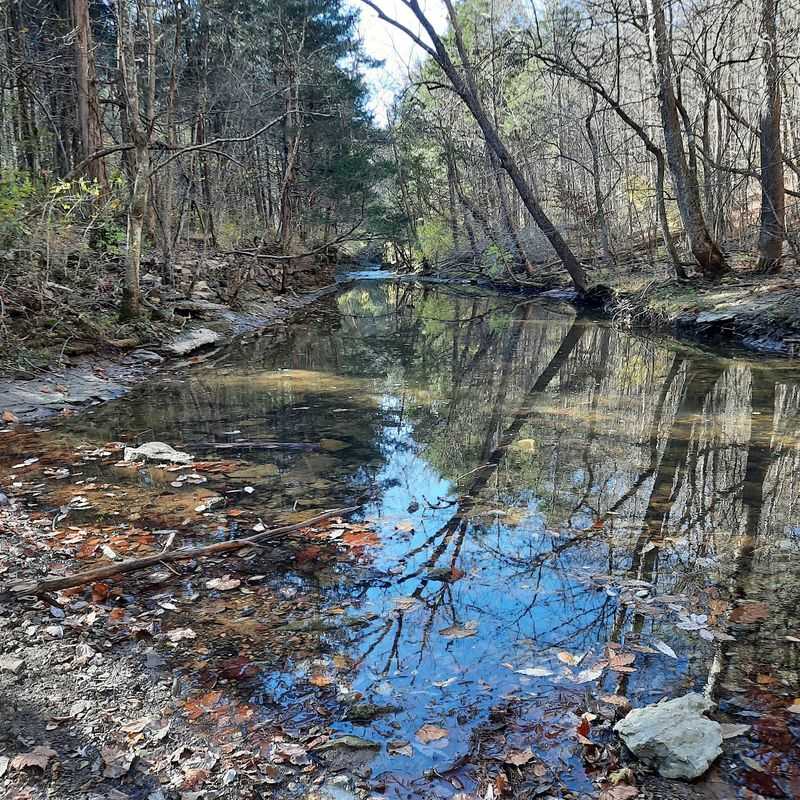 A Creek Name That Comes With A Pocket-Change Mystery
