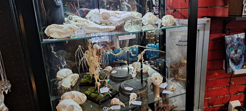 A Dragon Skeleton Sets The Tone Before You Even Find The Register