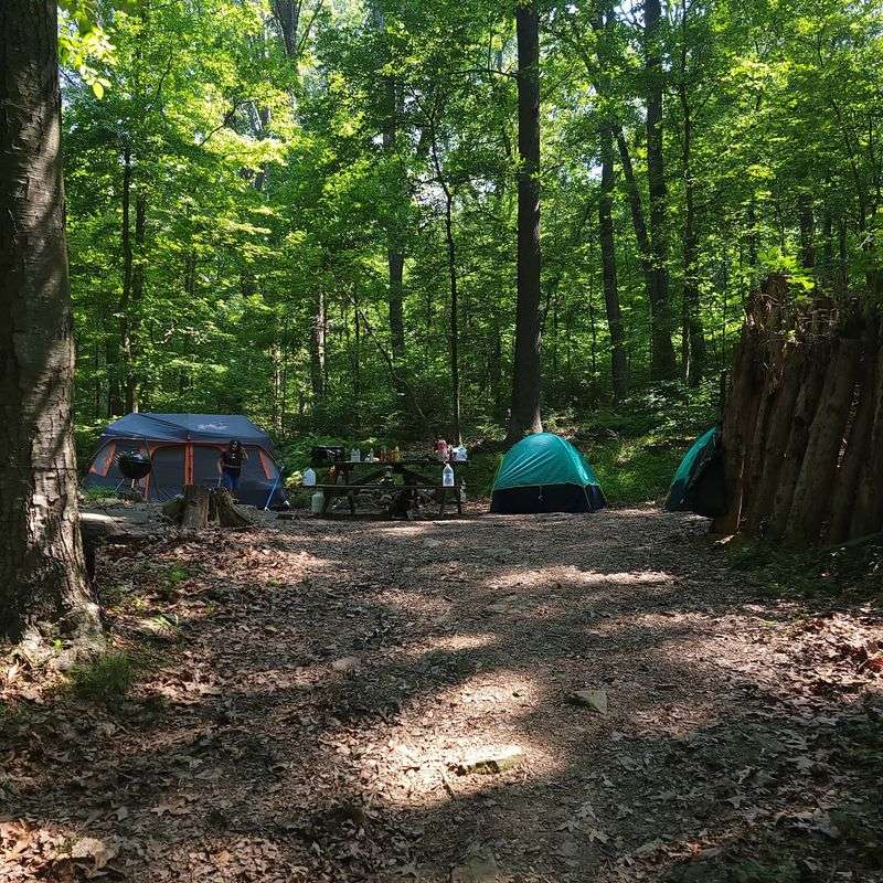 A Family Campground With Rules That Keep Nights Peaceful A Family Campground With Rules That Keep Nights Peaceful