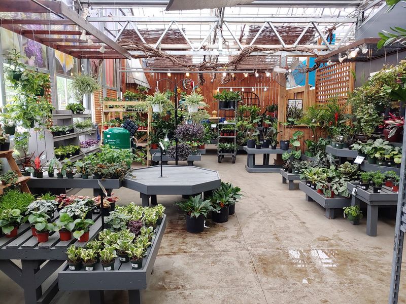 A Family Nursery Rooted in 1996