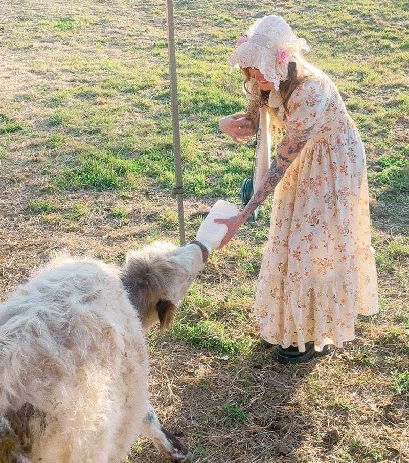 A Family-Run Farm With Hospitality Baked Right In A Family-Run Farm With Hospitality Baked Right In