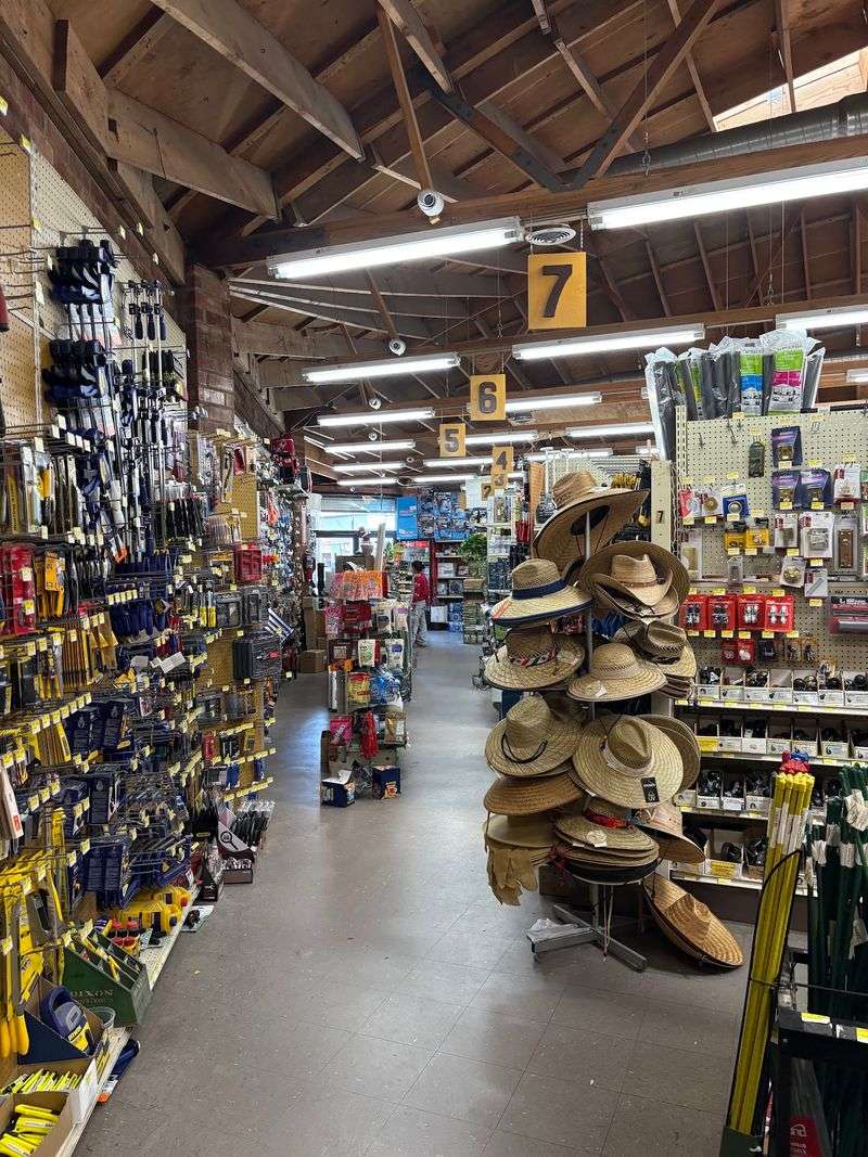 A Family Tree Grows Right Behind the Register A Family Tree Grows Right Behind the Register