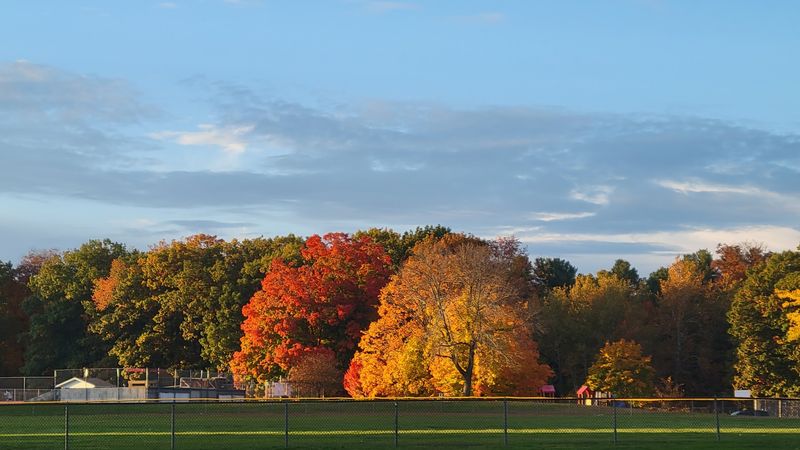 A Farm, A Trust, And A Clever Land Swap Came First