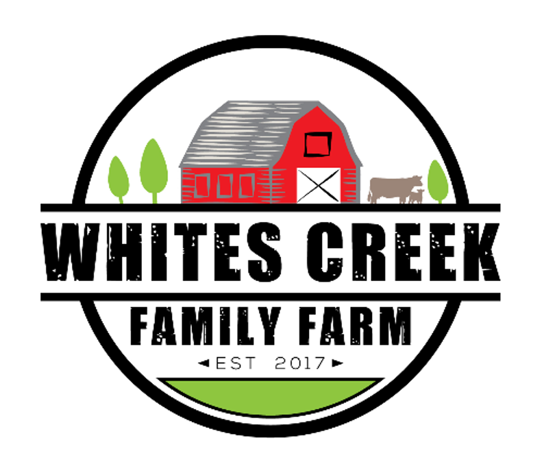 A Farm Day Third Graders Won't Forget