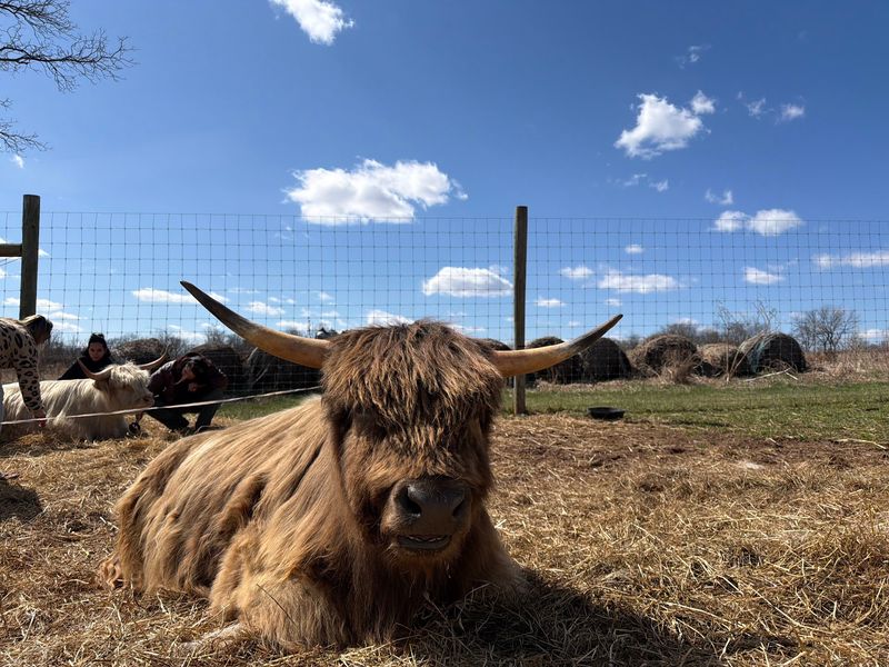 A Farm That Puts Animal Welfare First A Farm That Puts Animal Welfare First