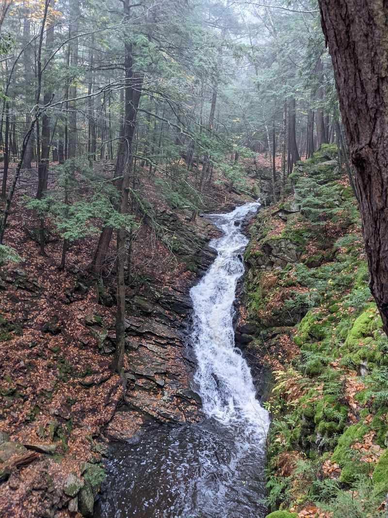 A Farmer Saved This Canyon, And You Get To Enjoy The Payoff A Farmer Saved This Canyon, And You Get To Enjoy The Payoff