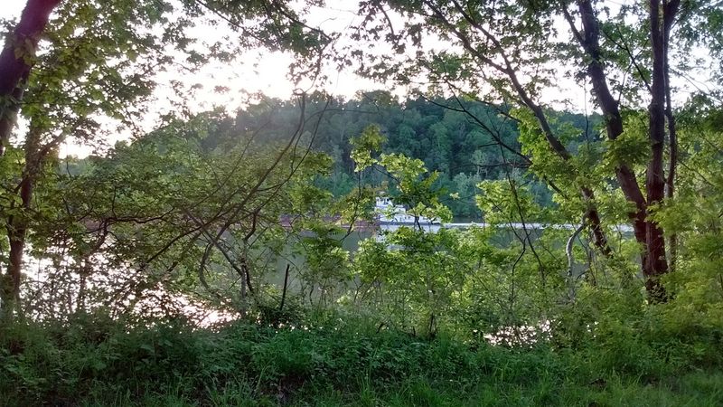 A Favorite Spot for Wildlife Photographers A Favorite Spot for Wildlife Photographers