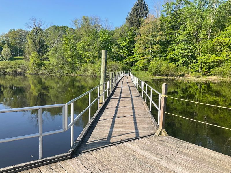 A Floating Bridge You Can Actually Walk Across A Floating Bridge You Can Actually Walk Across