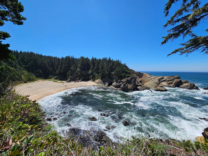 A Forest Trail Down to Simpson Beach