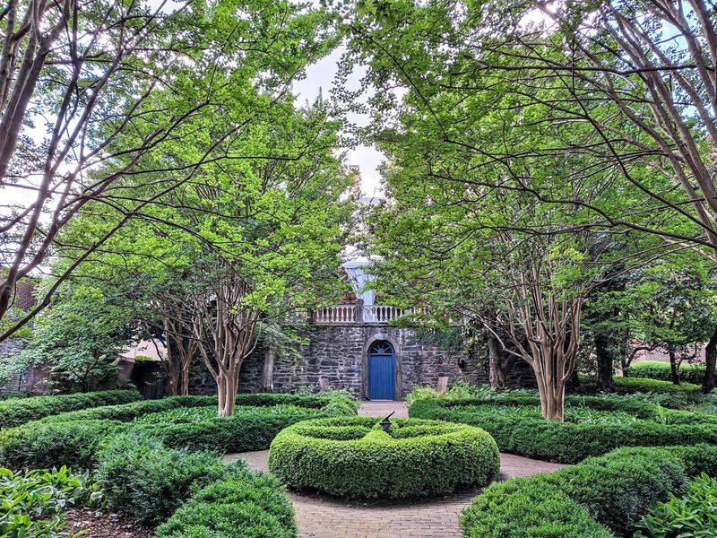A Garden That Steals the Show