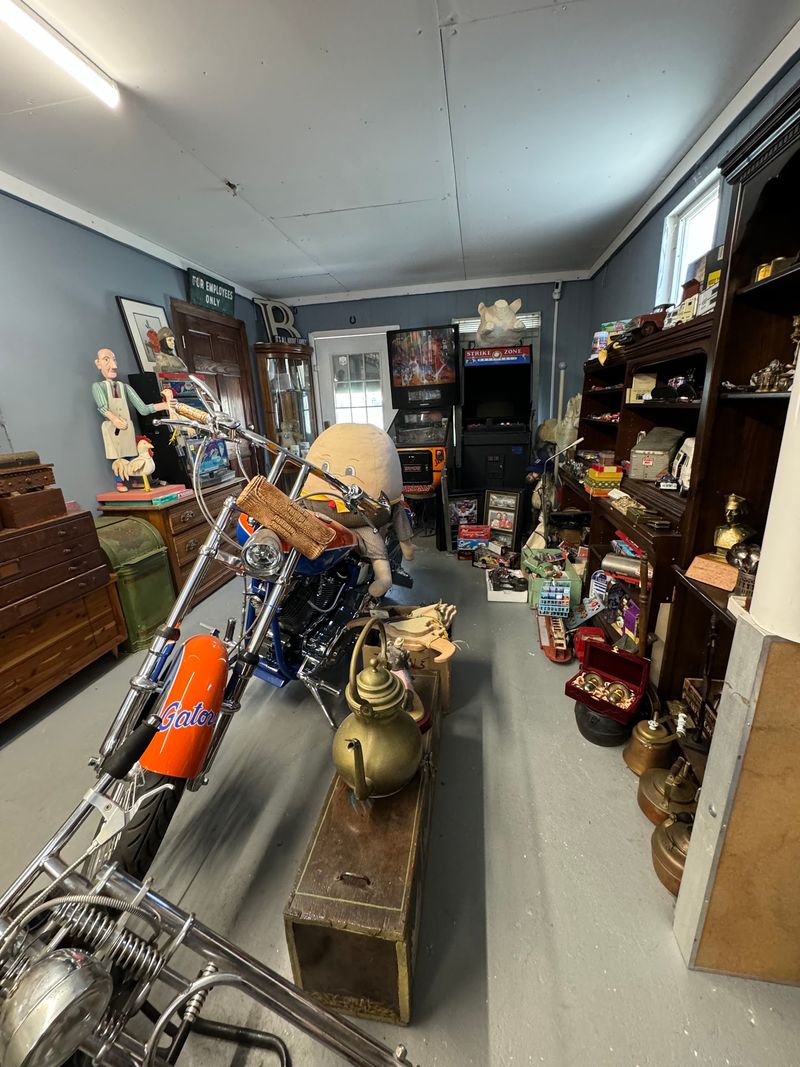 A Gators Bike Built For A Good Cause Steals The Show A Gators Bike Built For A Good Cause Steals The Show