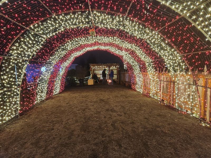 A Glowing Trail That Keeps Surprising You A Glowing Trail That Keeps Surprising You