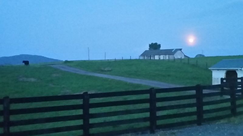 A Greenbrier Valley Farm Where Supper Starts In The Pasture