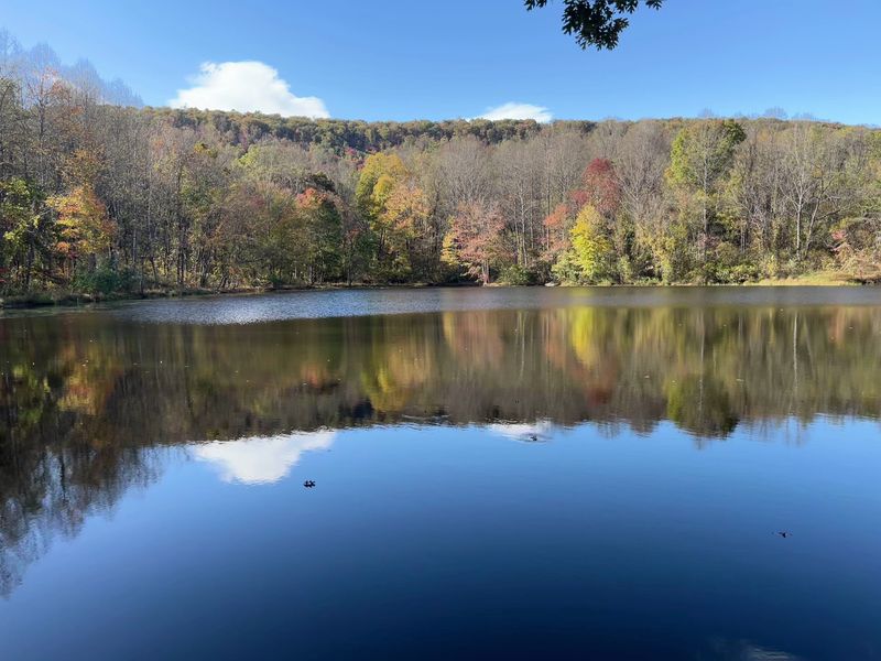 A Hike-In Pond Rewards Patient Anglers