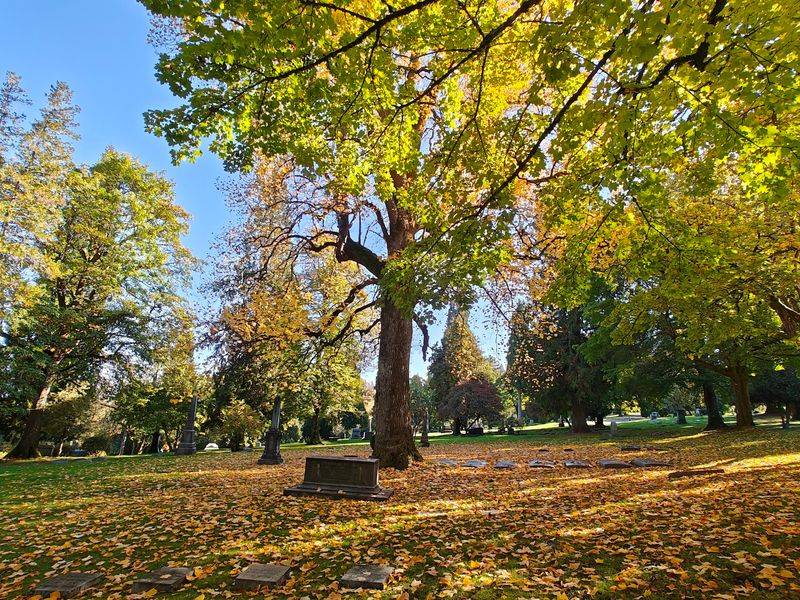A Hill That Is Basically One Giant Park