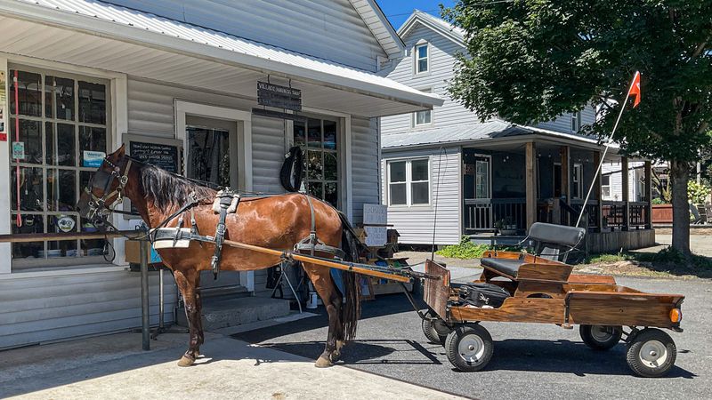 A Horse And Buggy Ride Adds The Perfect Amish Country Touch A Horse And Buggy Ride Adds The Perfect Amish Country Touch