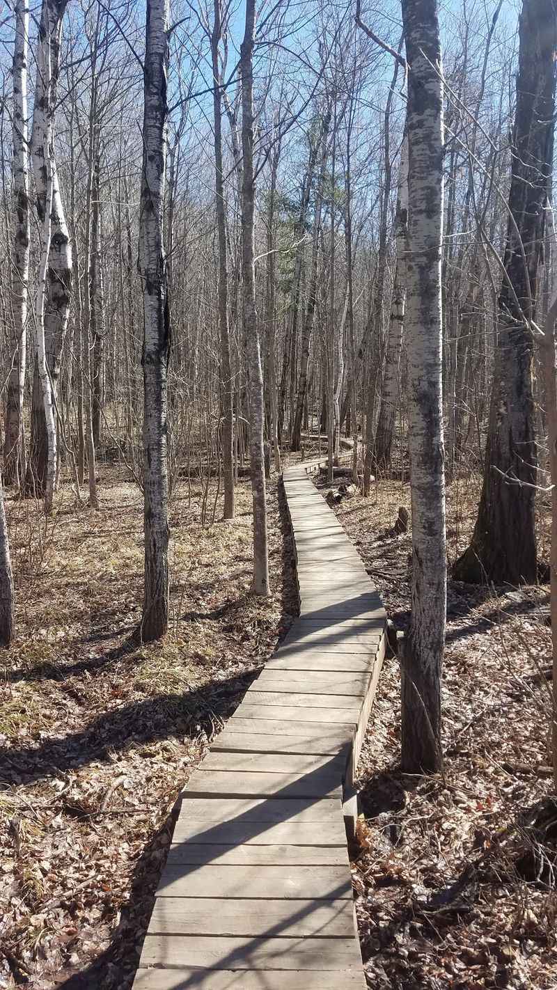 A Kid-Approved Adventure