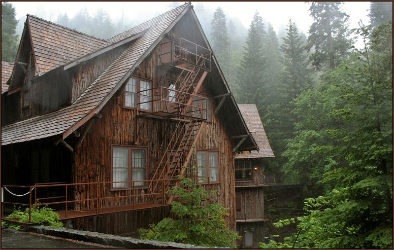 A Lodge That Looks Like The Forest Grew It On Purpose