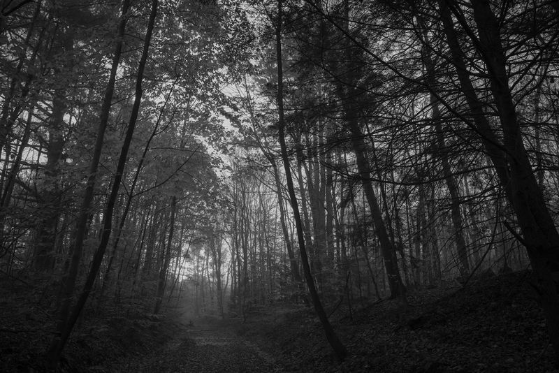 A Long Ribbon Between Keene and Hinsdale