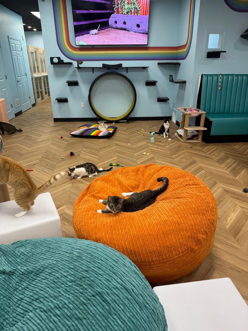 A Lounge That Feels Like Home