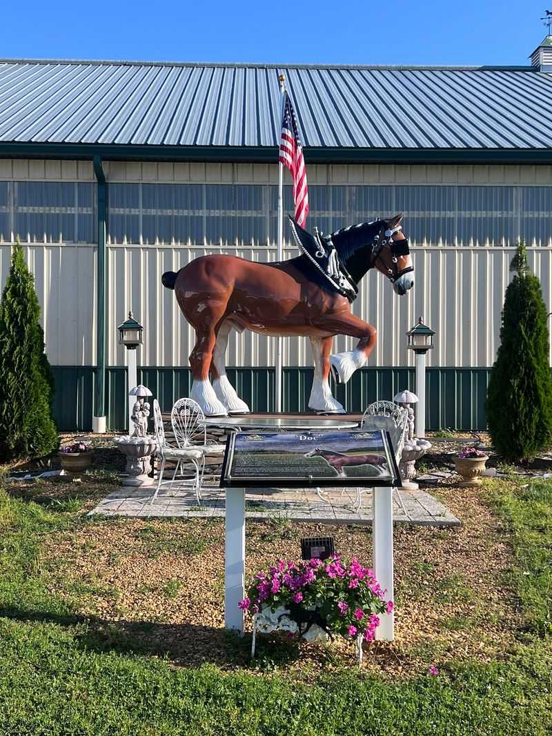 A Love Story That Started With a Horse Named Doc A Love Story That Started With a Horse Named Doc