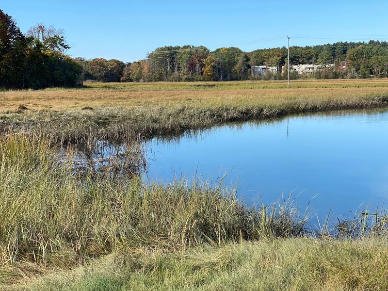 A Marsh View On Route 1 Makes The Drive Worth It
