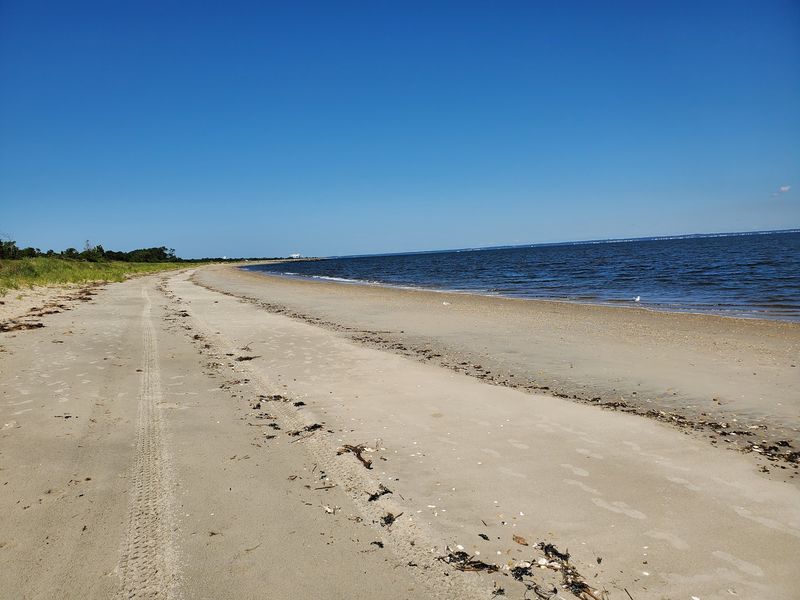 A Mile Of Beach Waits Right Outside The Door