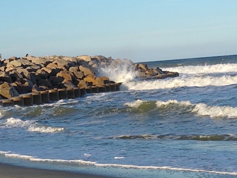 A Modern Stone Shield and Rare Coquina Rock