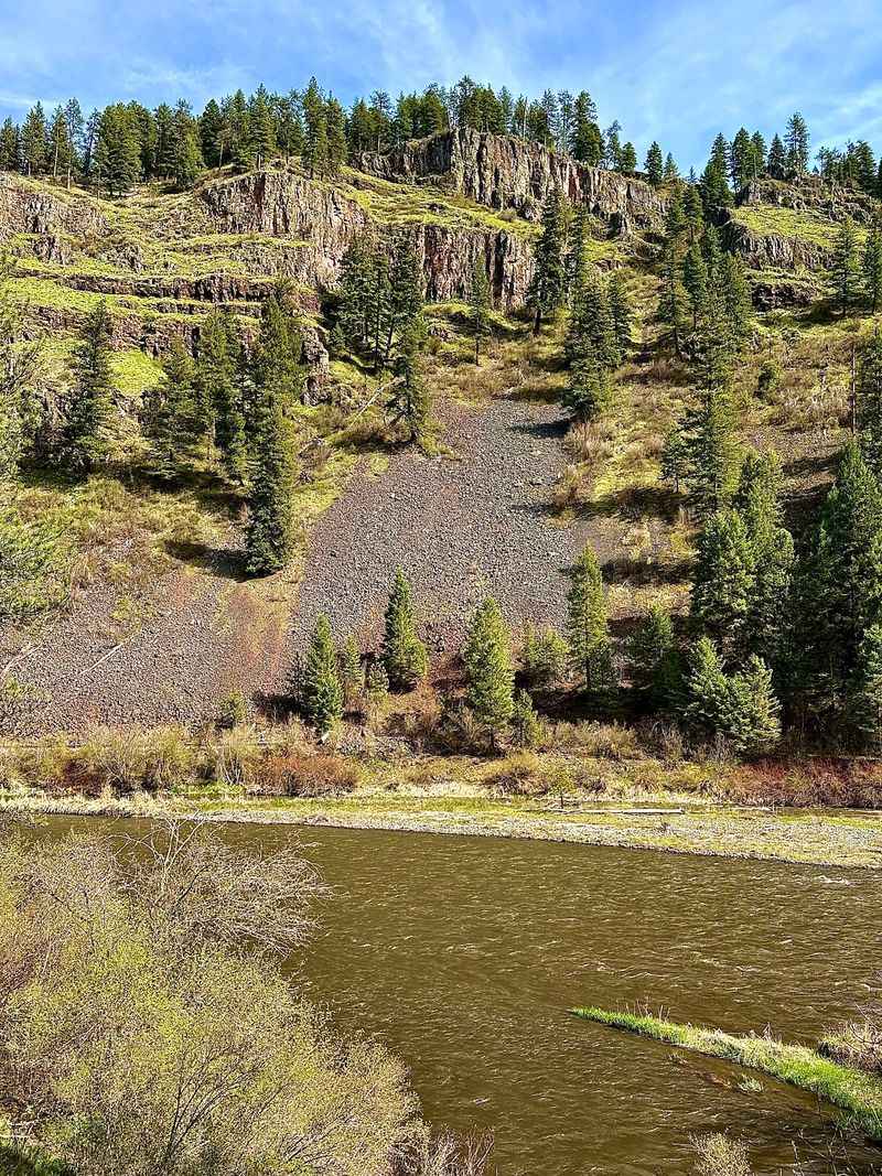 A Name With Roots Deeper Than The Canyon