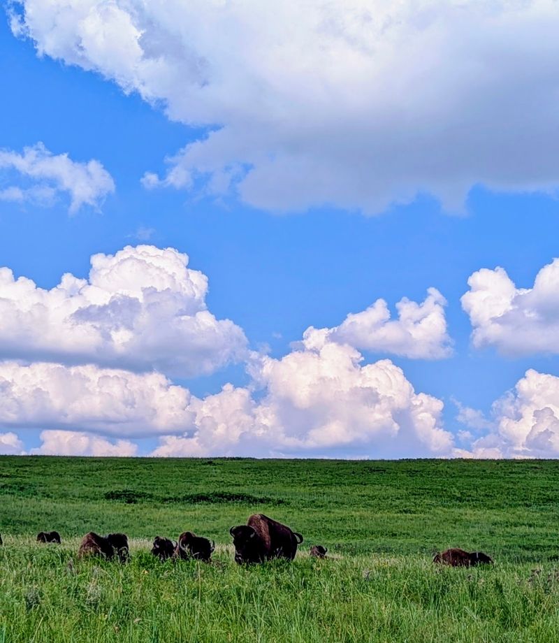 A Prairie Sanctuary in Osage County A Prairie Sanctuary in Osage County