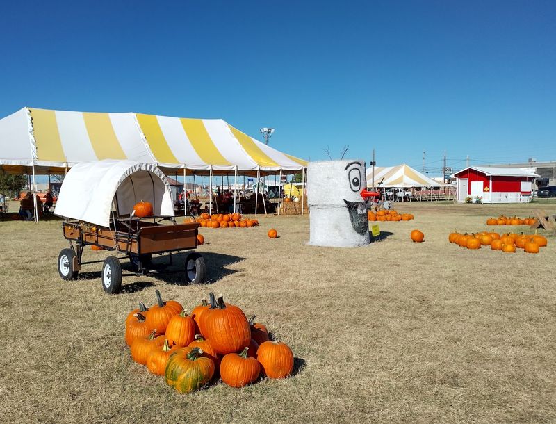 A Pumpkin Patch Tucked Inside Tulsa's City Limits A Pumpkin Patch Tucked Inside Tulsa's City Limits