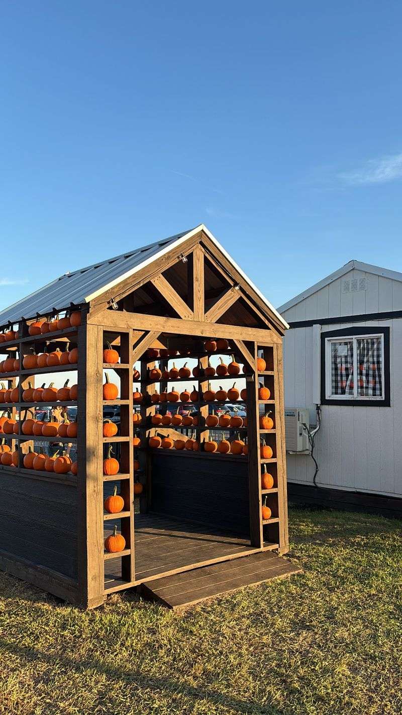 A Pumpkin Patch With A Whole House To Match